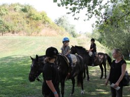 IMG_1320_web